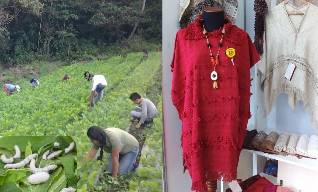 Transformación artesanal gracias a las "manos de seda" de mujeres de Timbío Cauca.