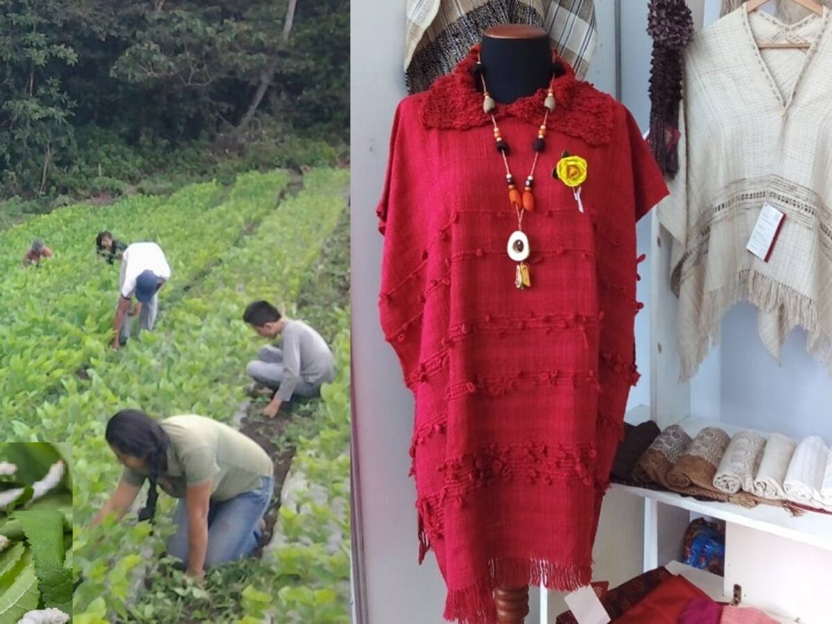 La Ruta de la Seda, una alternativa turística, social, económica y pedagógica