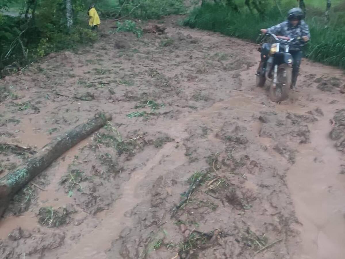 Derrumbe cerró la vía que de Manizales conduce a varios municipios del norte de Caldas
