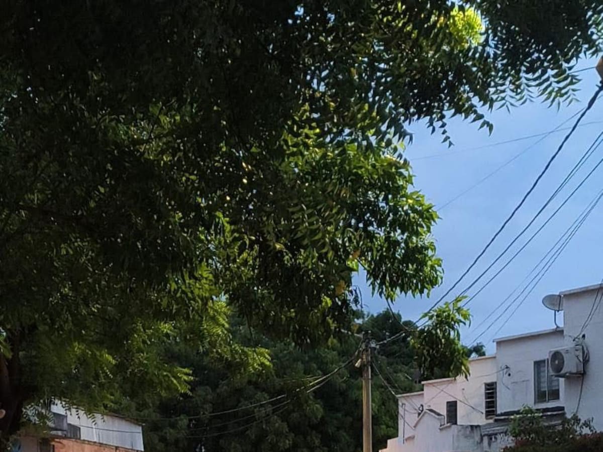 60 familias afectadas en Los Patios, Norte de Santander, por las fuertes lluvias de este martes