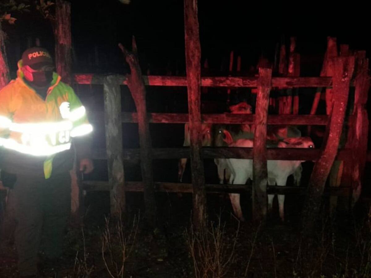 14 personas capturadas por abigeato en lo que va de abril en Bolívar