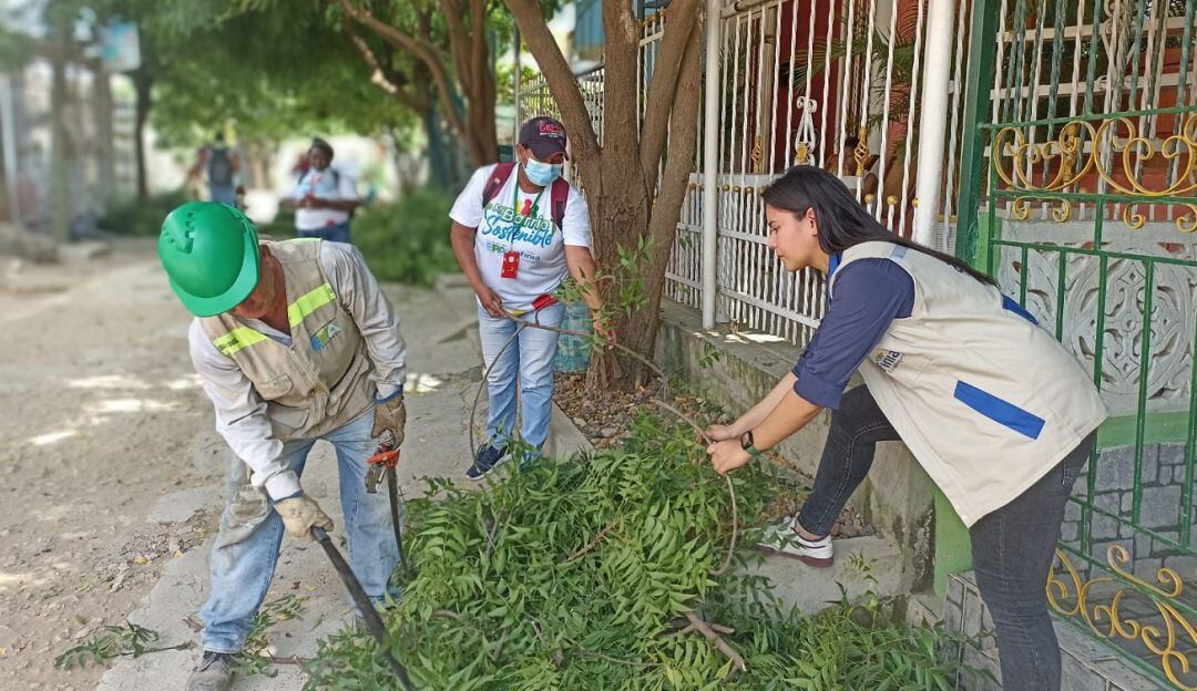 Este proyecto busca que la comunidad tenga conciencia sobre la importancia de la preservación del medio ambiente
