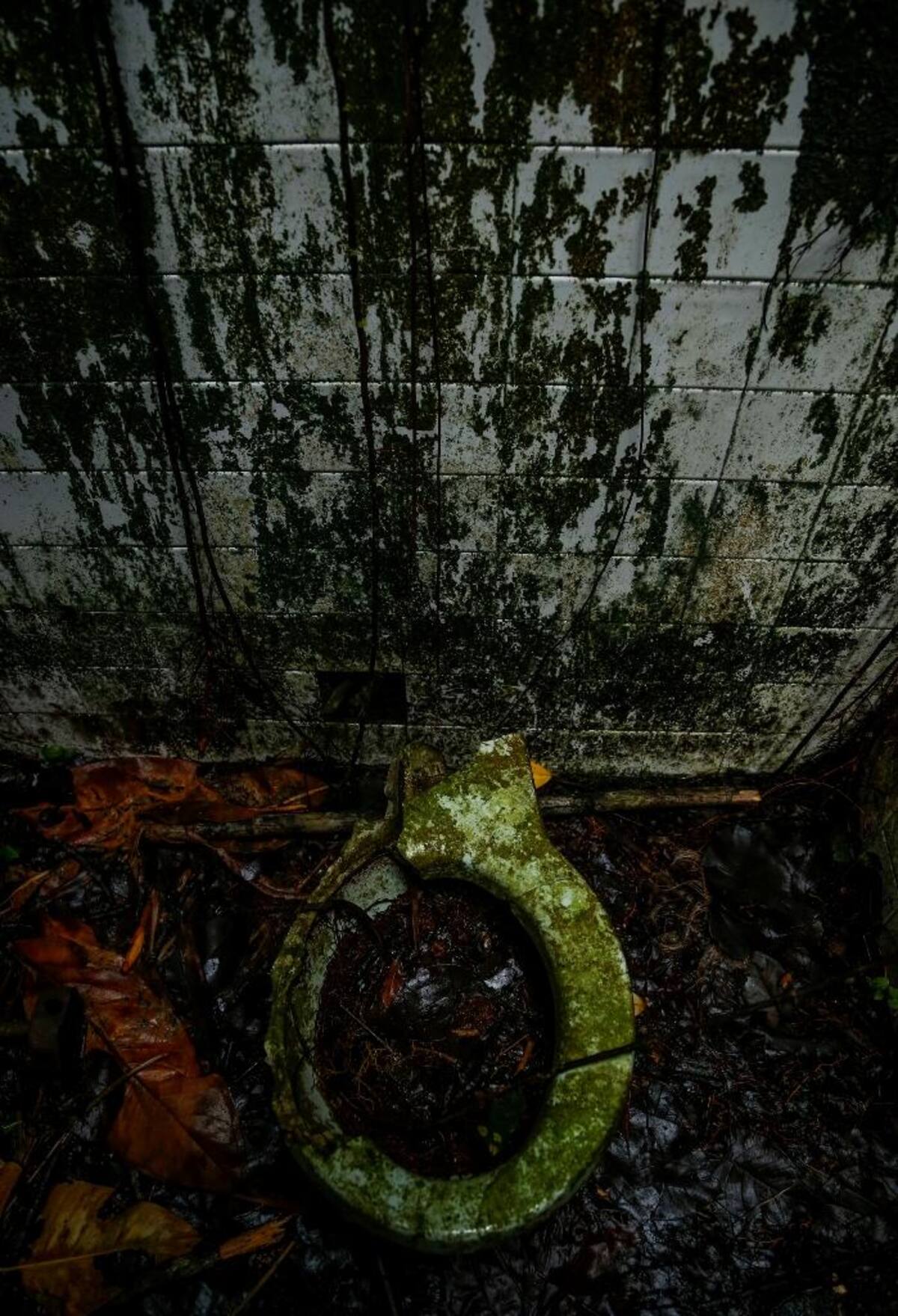La naturaleza reclama su territorio y se instala en las ruinas de lo que alguna vez fue un temido lugar de reclusión en el Pacífico colombiano.
