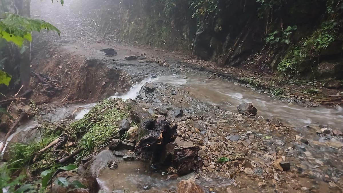 Llamado a comités locales por lluvias en la región
