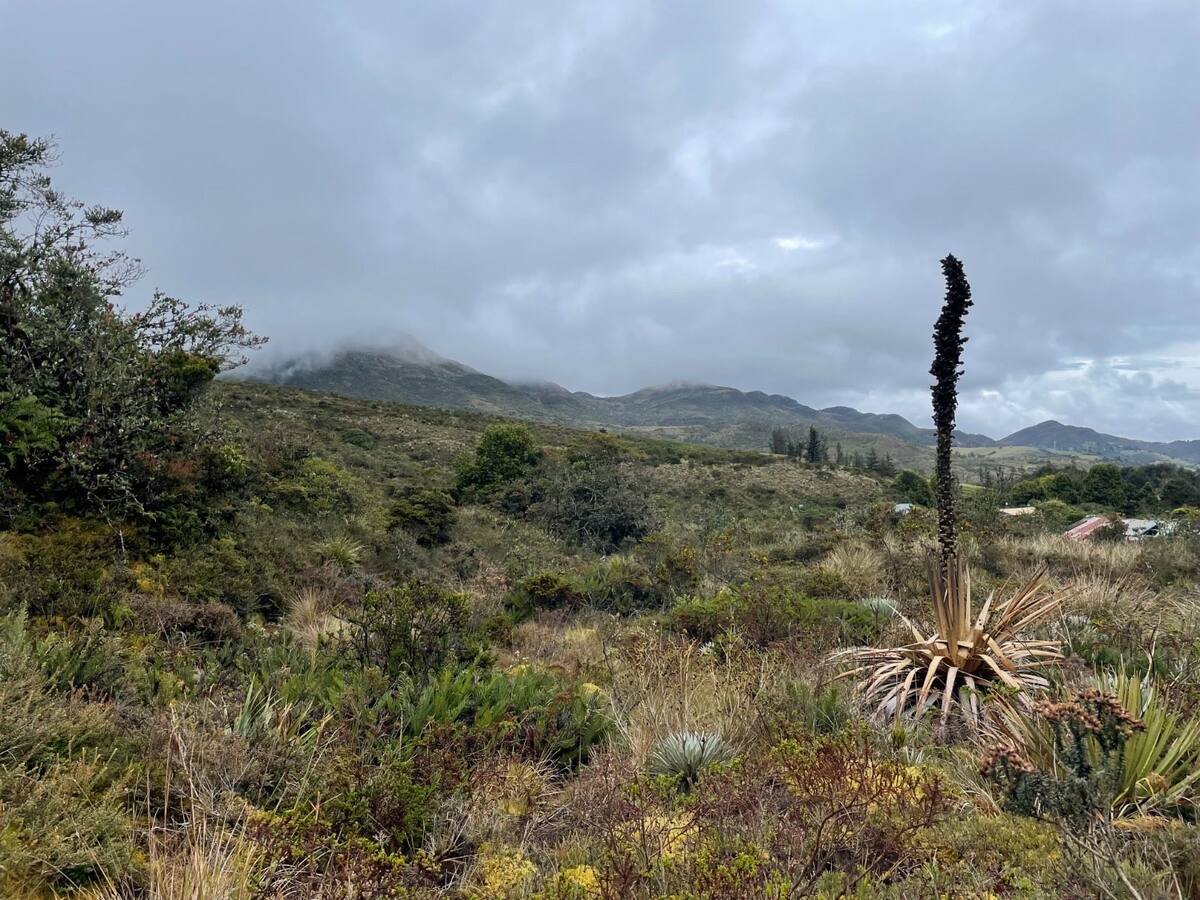 La CAR recupera predio de 124 hectáreas de paramo en zona rural de Bogotá
