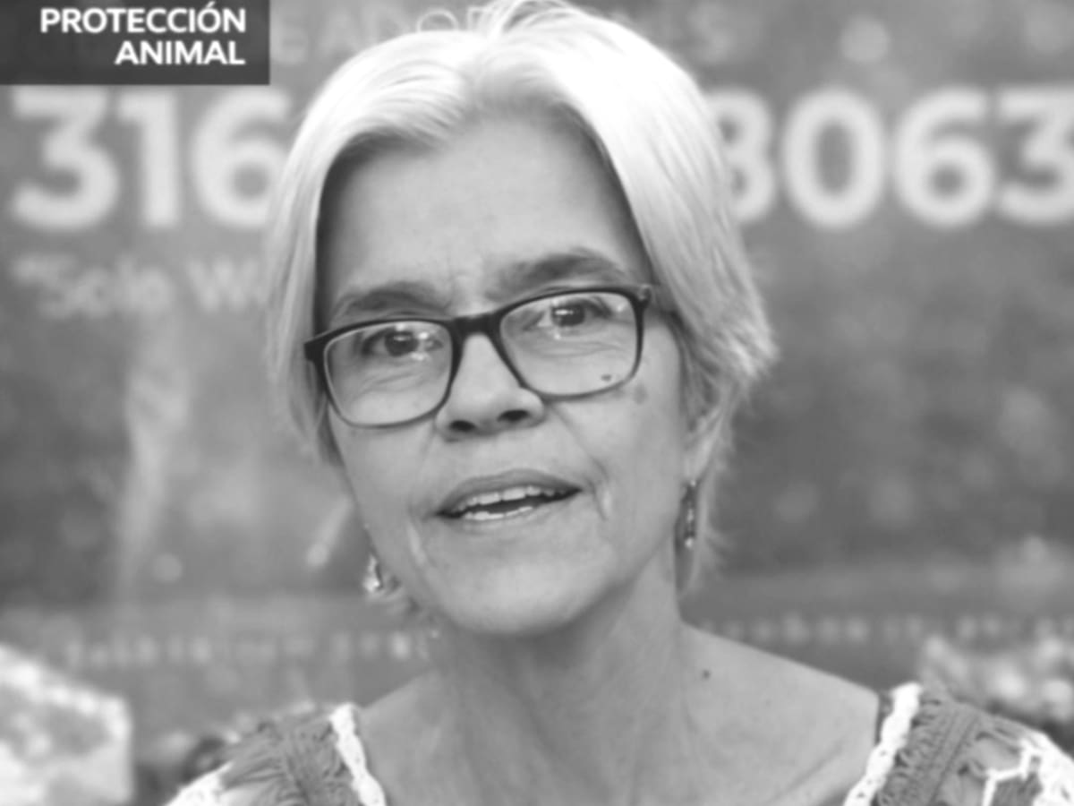 “Pronto se emitirá orden de captura”: Policía sobre hijo que habría asesinado a su madre en Cali