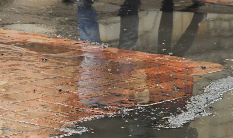 Imagen de referencia.