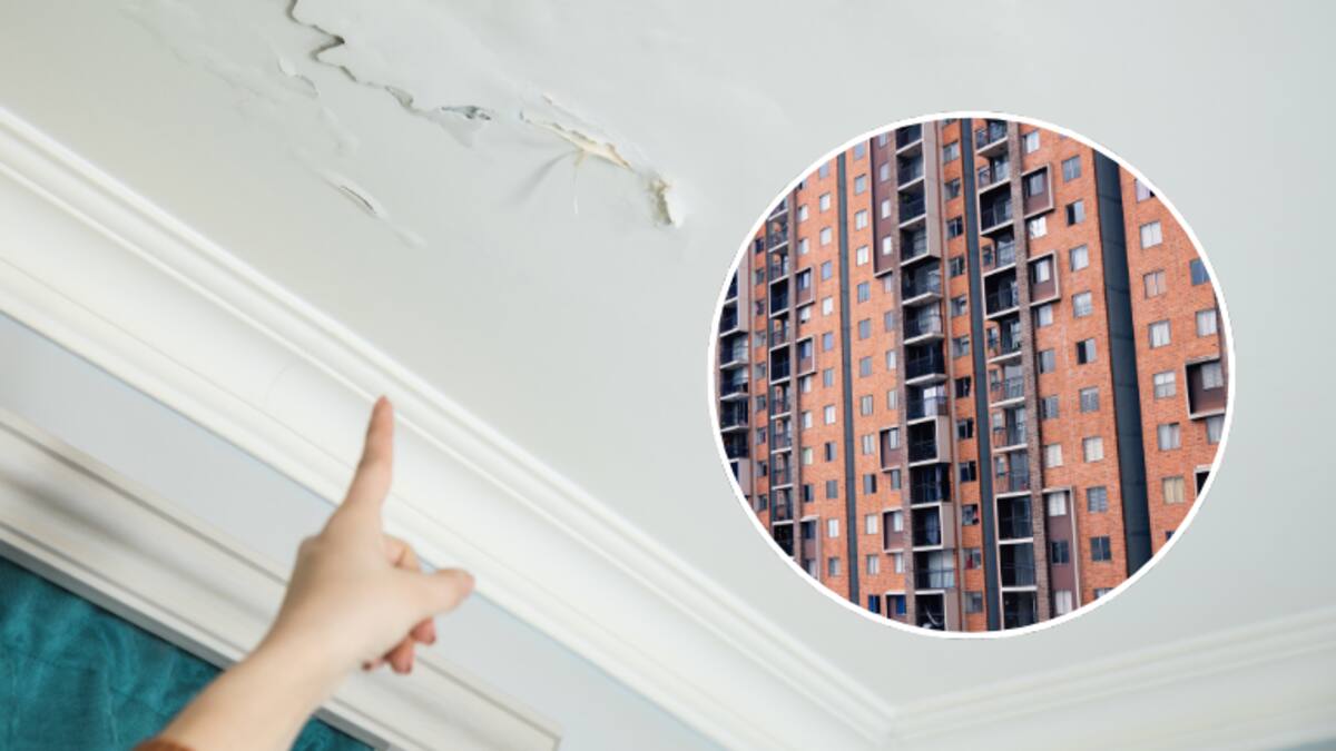 Apartamentos: ¿quién responde por una humedad en propiedad horizontal?