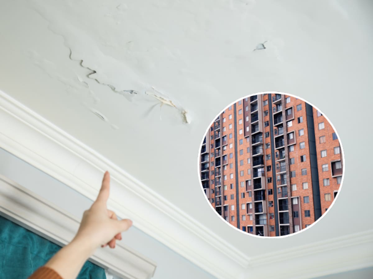 Apartamentos: ¿quién responde por una humedad en propiedad horizontal?