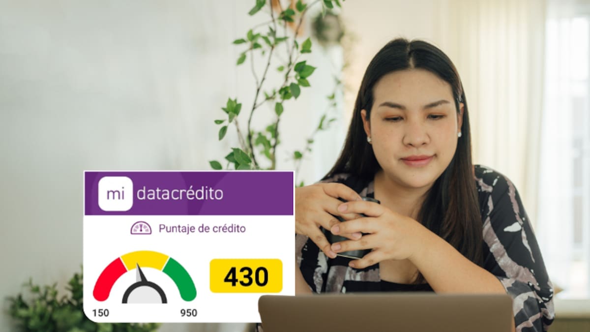 Así puede ver su reporte de Datacrédito gratis: Número de cédula y datos que necesita