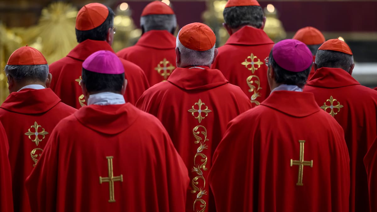 ¿Cómo debe ser el nuevo papa? Experto explica en qué se basan los cardenales para su elección