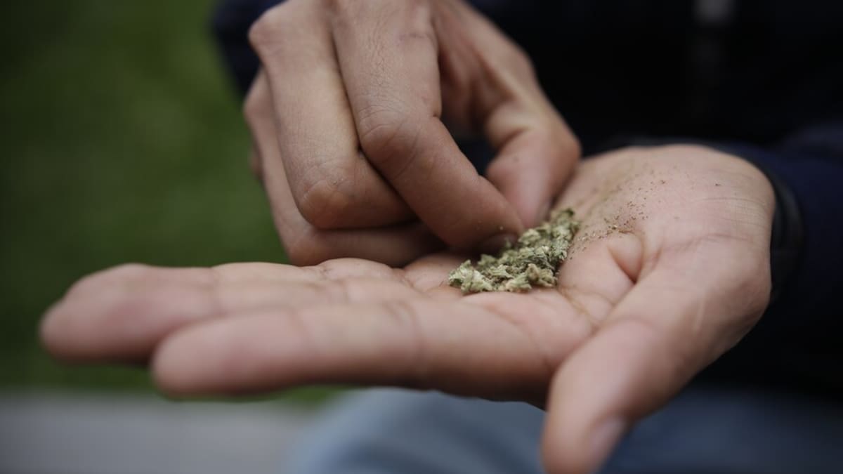 Al Oído: ‘Firma contra las drogas’, la iniciativa que dirá NO a derogar Decreto 1844