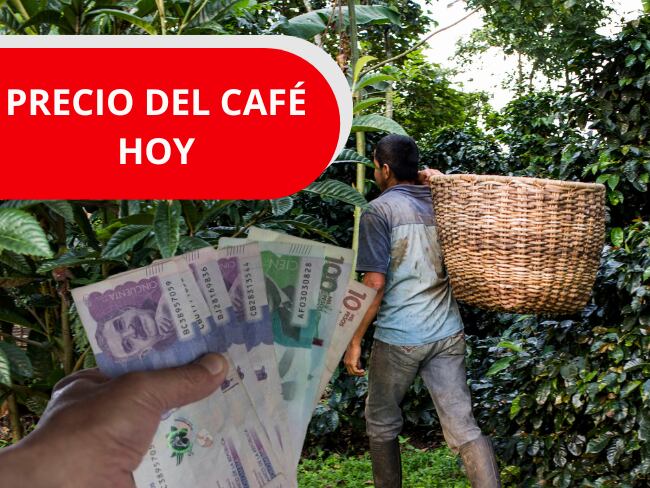 Imagen de referencia, foto Getty images y Canva  