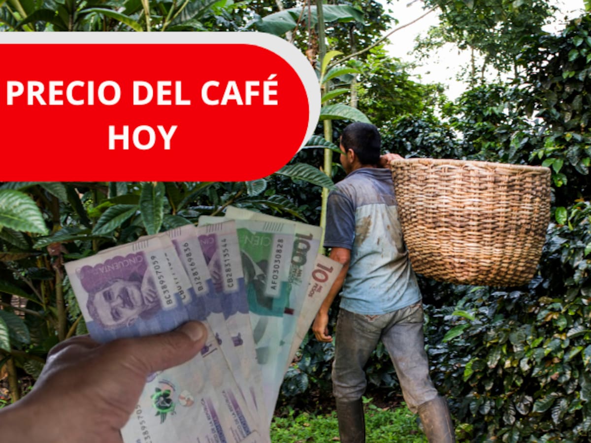 Bajó el café en Colombia HOY martes 10 de febrero, según la Federación Nacional de Cafeteros