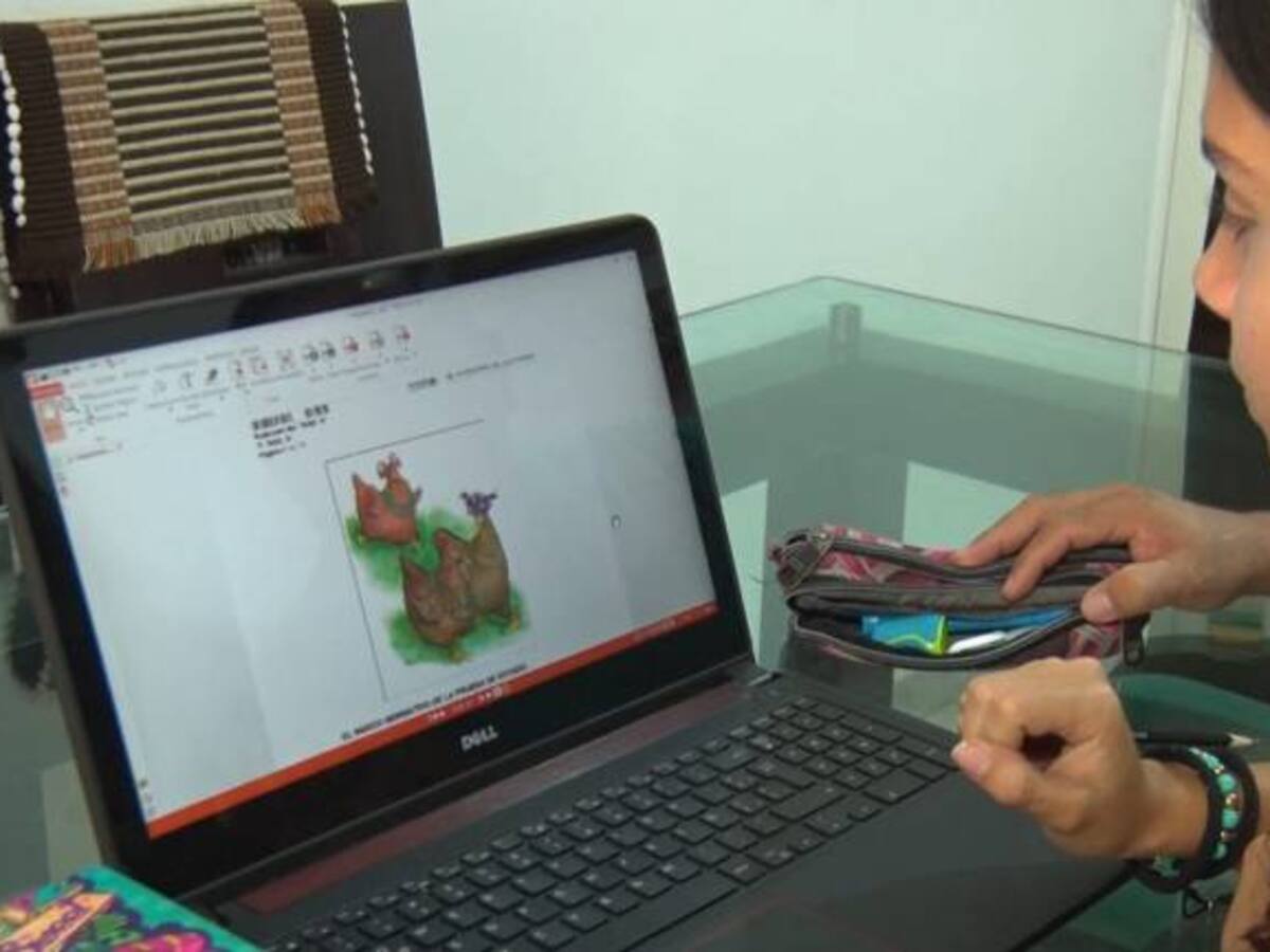 Con la foto de una gallina pasó las pruebas Saber 11