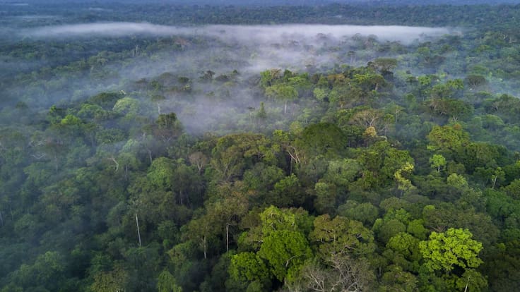El SINCHI y los acuerdos de conservación en 65.260 hectáreas de bosque amazónico