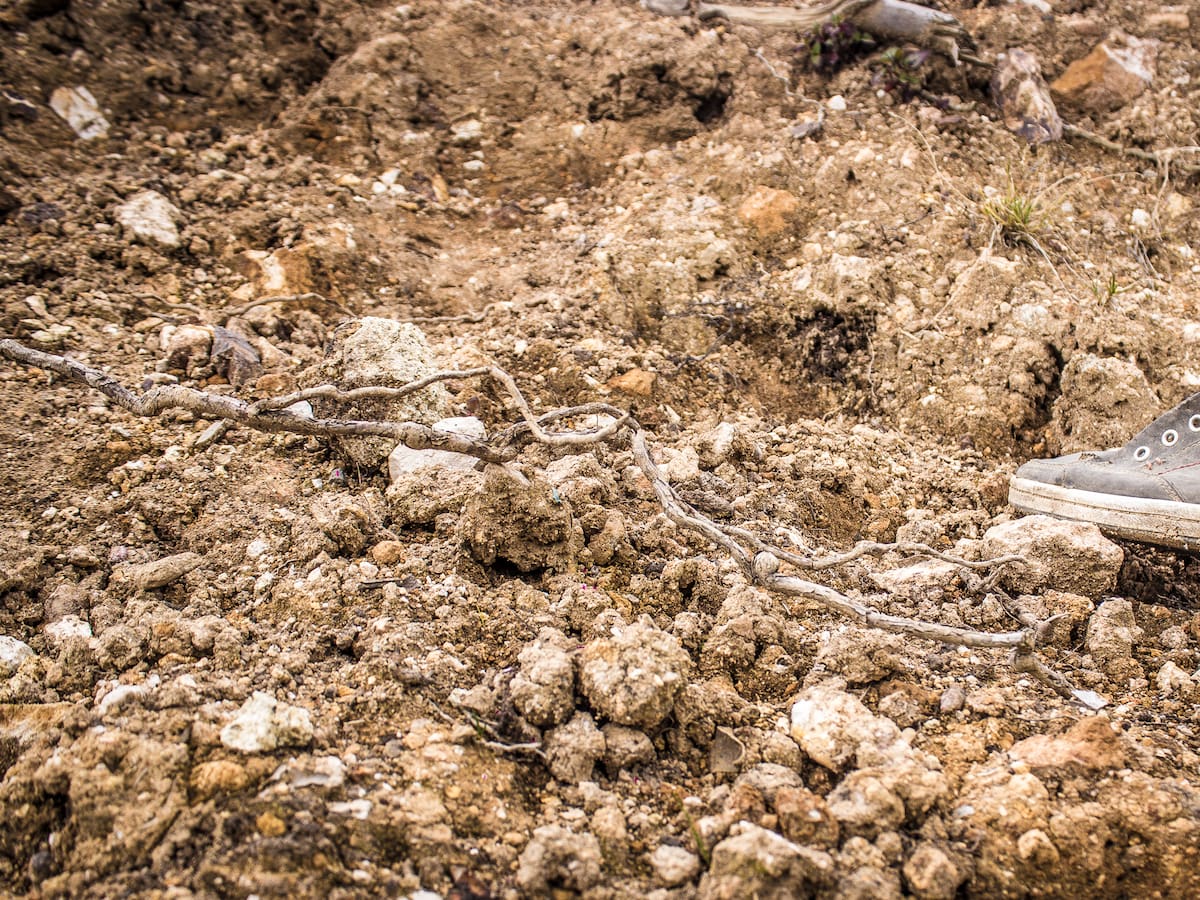 Más de 4.000 personas continúan desaparecidas en el Magdalena a raíz del conflicto armado