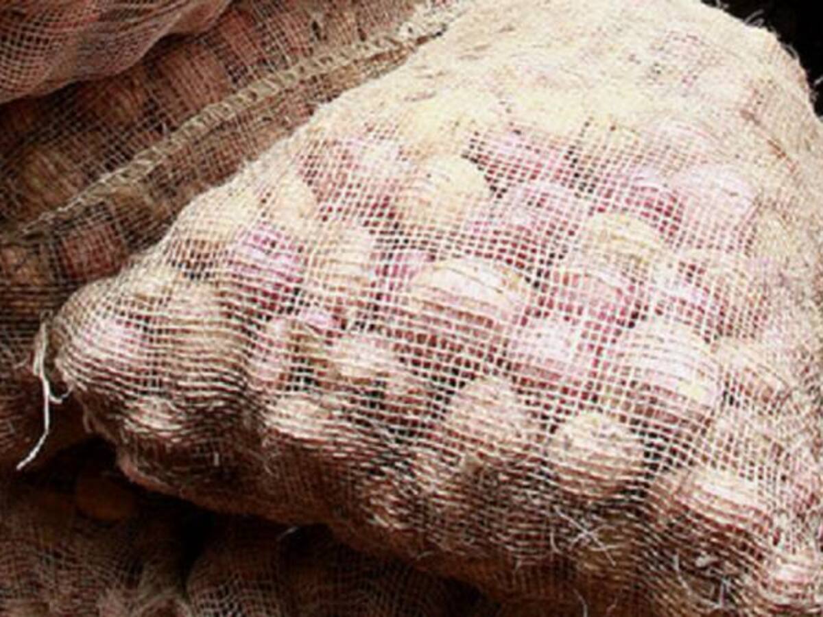 Un posible dumping en importaciones de papa congelada investiga mincomercio