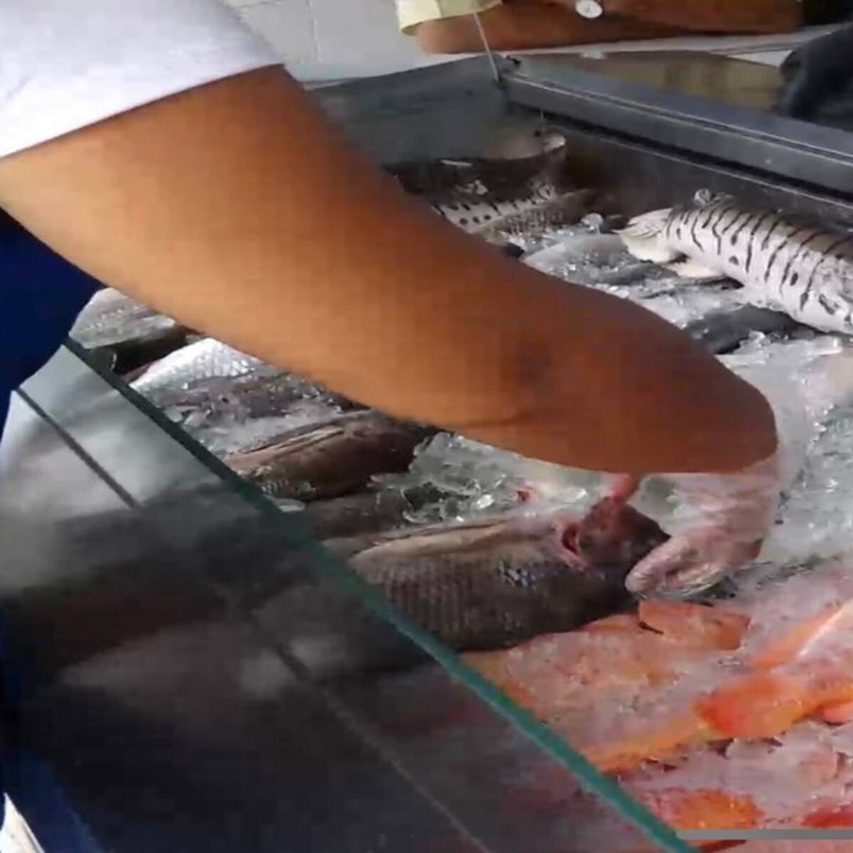 Local de venta de pescado fue sellado por inadecuado almacenamiento del alimento
