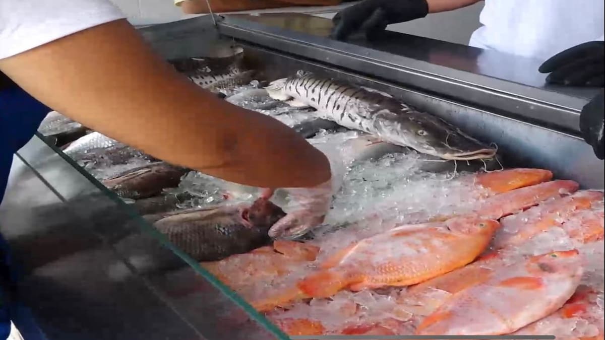 Autoridades de salud en Cúcuta adelantan controles en la venta de pescados y mariscos