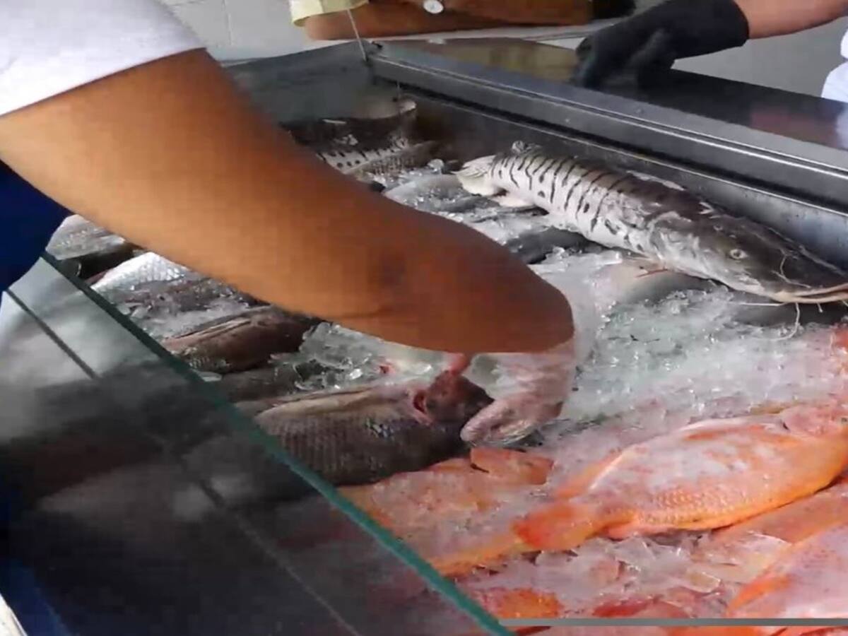 Autoridades de salud en Cúcuta adelantan controles en la venta de pescados y mariscos