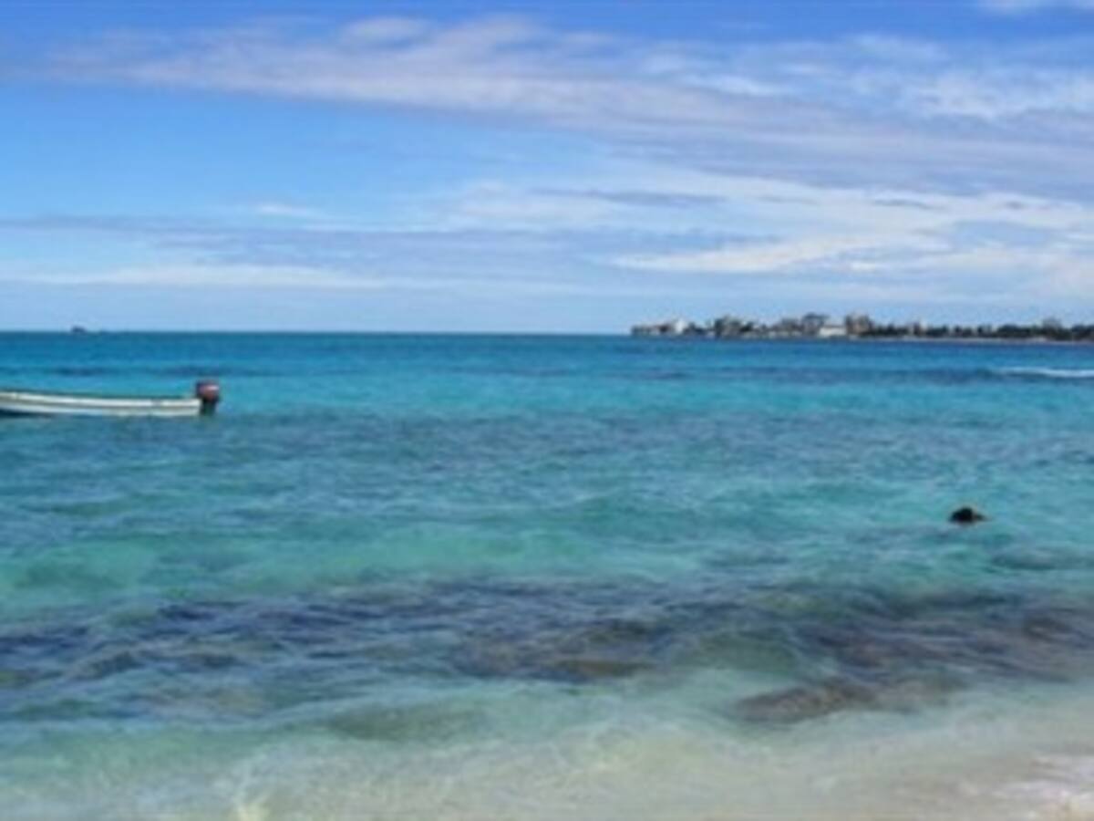 Denunciar el Pacto de Bogotá nos evitará futuras sorpresas: presidente del Congreso