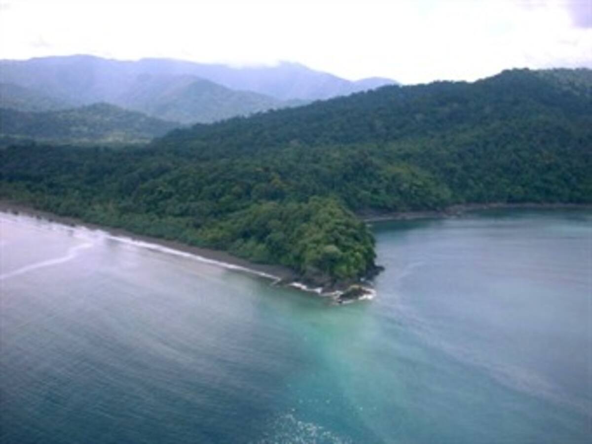 Armada encuentra caleta de “Los Urabeños” en Bahía Solano, Chocó