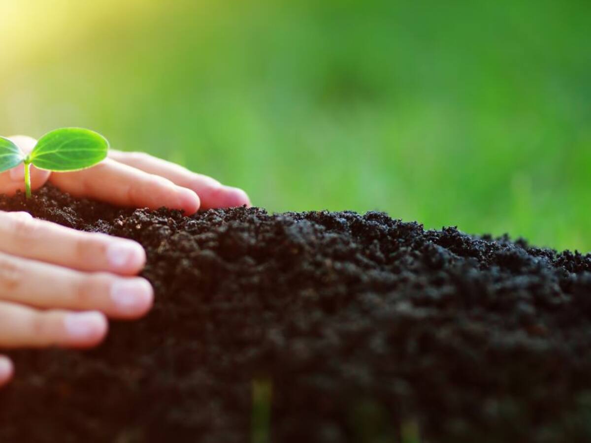 La pandemia dejó al desnudo los graves problemas del campo