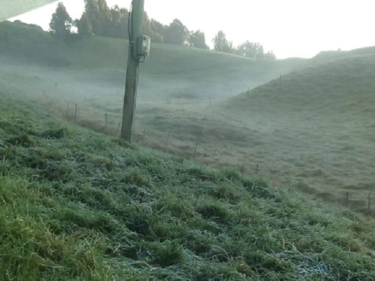 Por heladas declaran calamidad pública en Santa Rosa de Osos