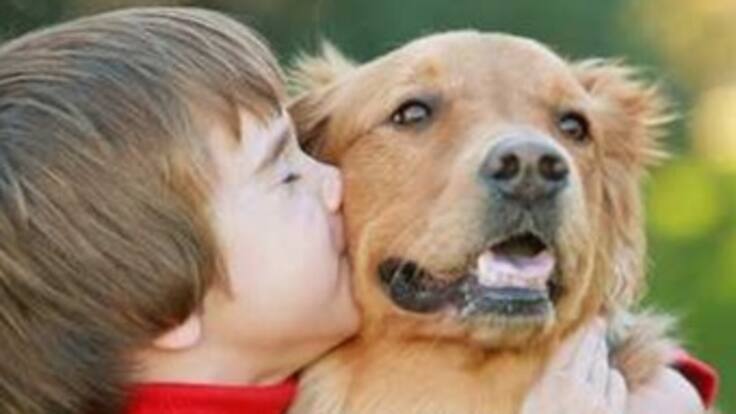 Tener mascotas en casa despierta la responsabilidad en los niños