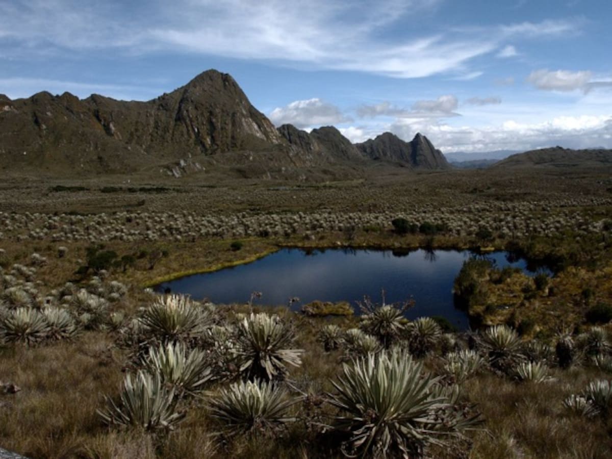 Así va la delimitación del Páramo de Pisba: 44 veredas desparecerían