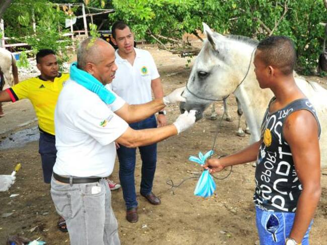 Cocheros de Cartagena recibieron oferta institucional