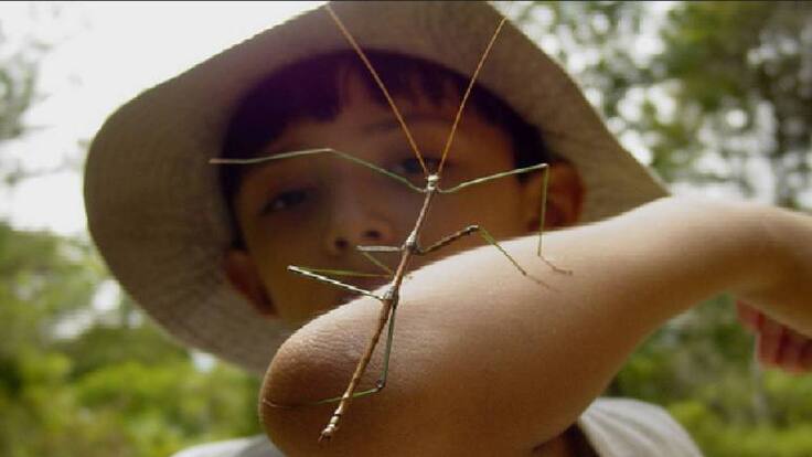 Educación ambiental en la primera infancia