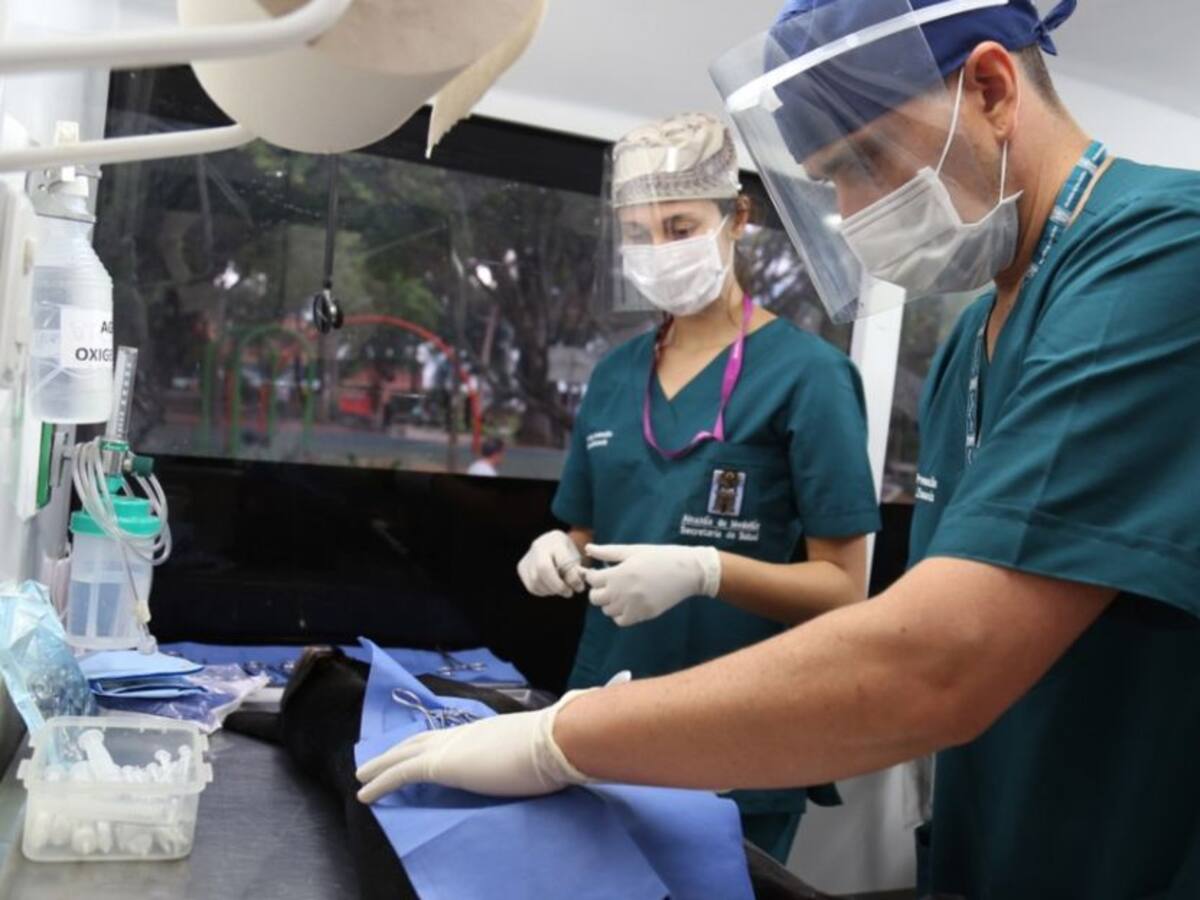 Abren inscripciones a esterilización gratuita de mascotas en Medellín