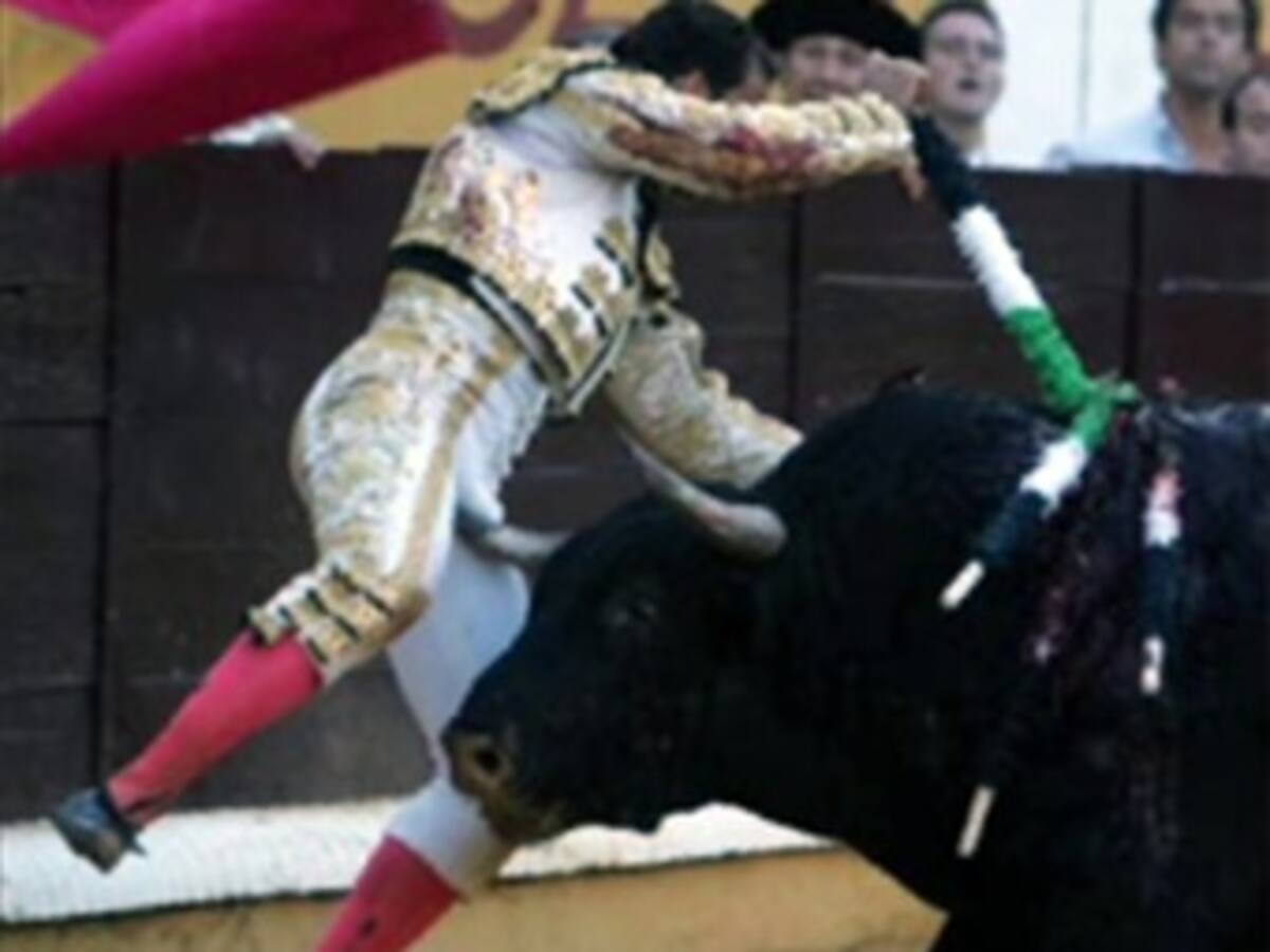 Procuraduría: es tolerable la crueldad en la tauromaquia y las riñas de gallos