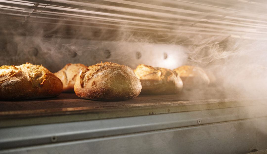 ¿Qué es la celiaquía y cómo reconocer la intolerancia al gluten?