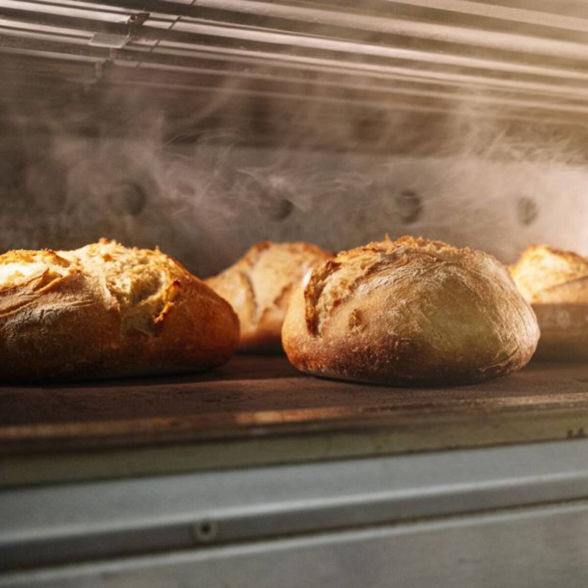 ¿Qué es la celiaquía y cómo reconocer la intolerancia al gluten?