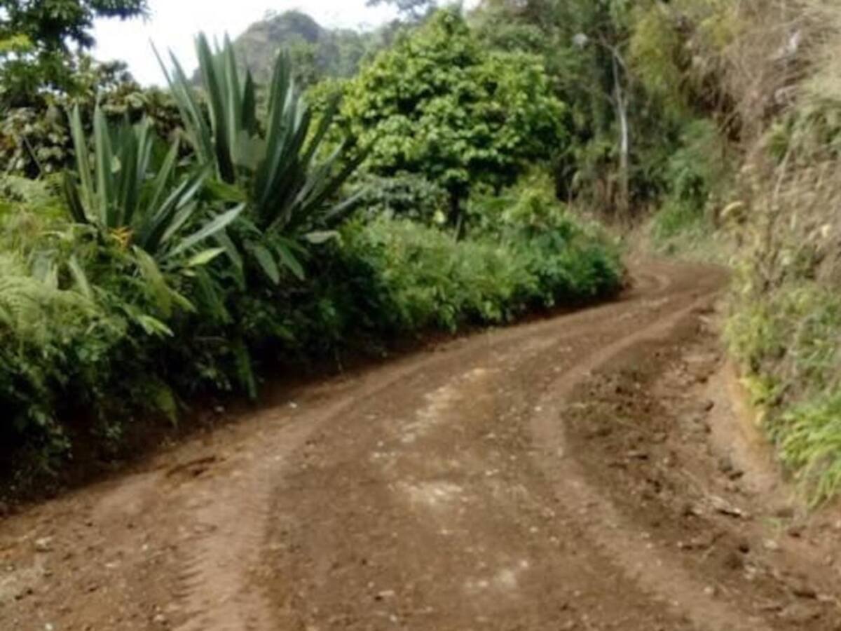 Algunas vías de Fresno podrían colapsar por las fuertes lluvias