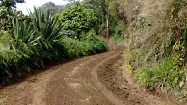 Una de las vías de la zona rural del municipio de Fresno.