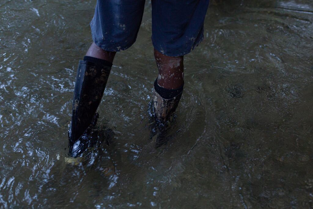 Selva del Darién caminata imagen de referencia. Foto: Jorge Calle/Anadolu Agency via Getty Images