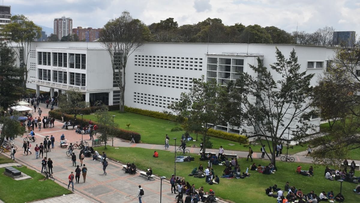 Si usan la UNAL como instrumento político, la seguirán matando: Profesor sobre ocupación indígena