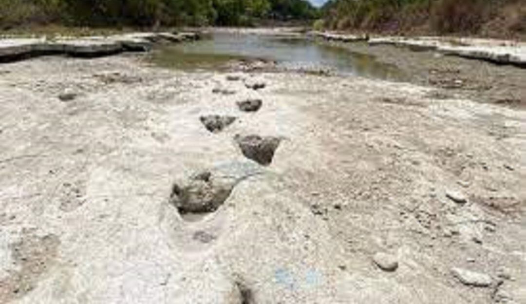 Encuentran en río evidencia de uno de los dinosaurios más largos del mundo