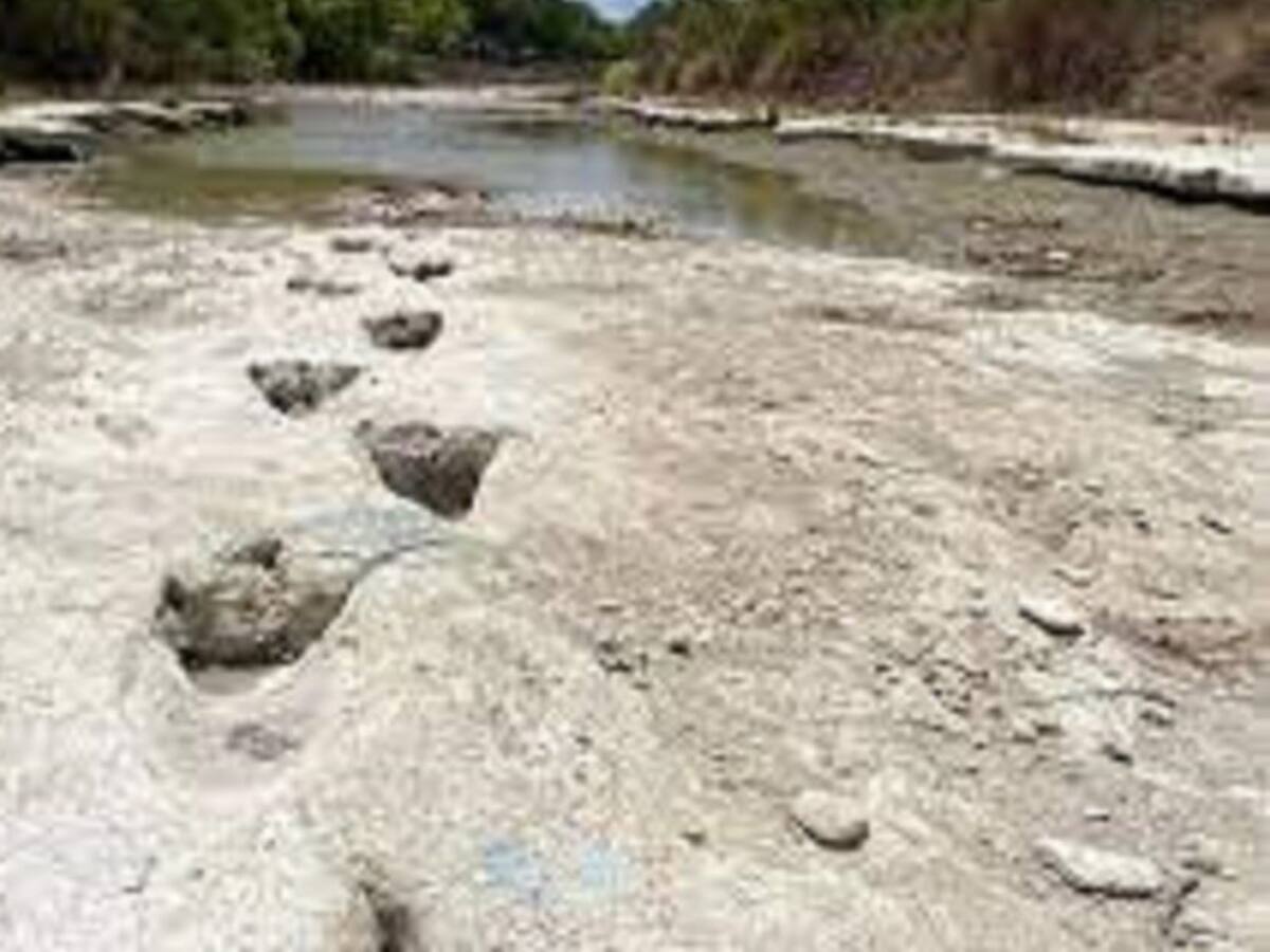 Encuentran en río huellas de uno de los dinosaurios más largos del mundo
