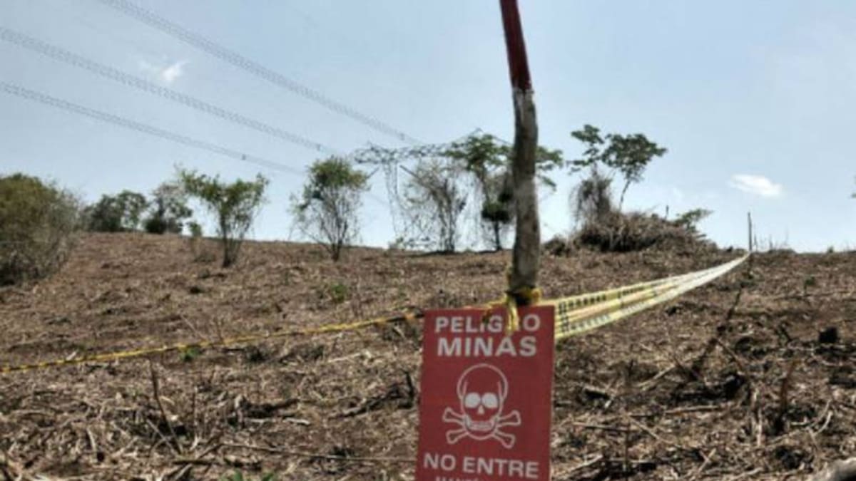 Alias ‘Leito’, cabecilla de las disidencias de Calarcá, habría muerto al explotar campo minado