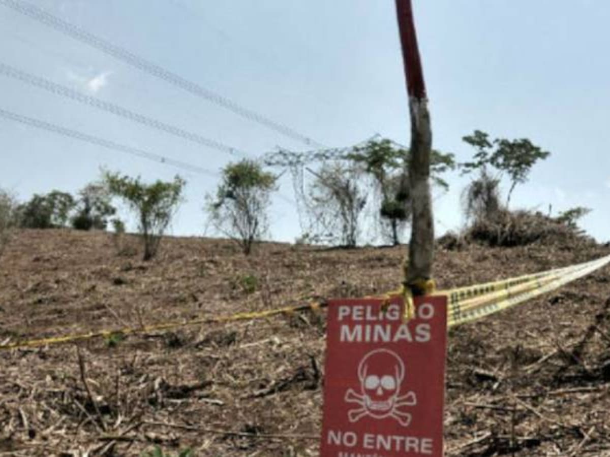 Alias ‘Leito’, cabecilla de las disidencias de Calarcá, habría muerto al explotar campo minado