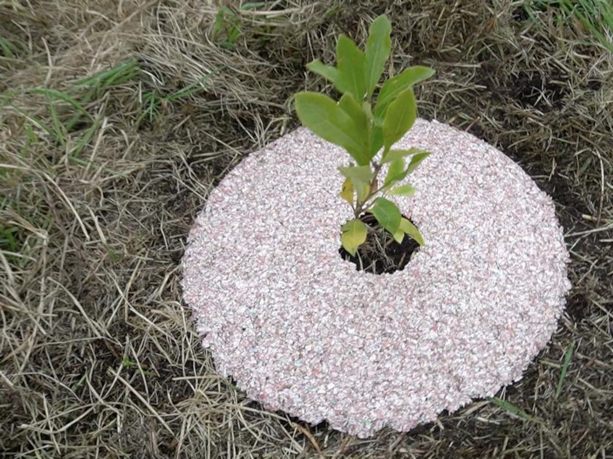 Billetes que se transforman en abono