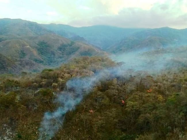 Alrededor de 16 incendios forestales han atendido los Bomberos en Cartagena