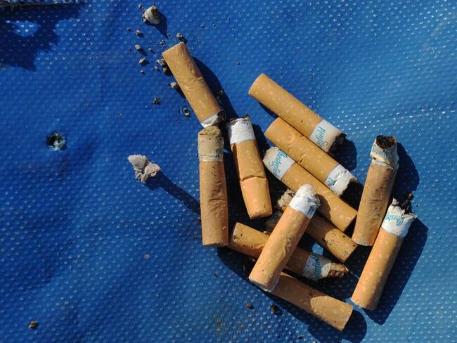 El proyecto que busca regular el consumo de cigarrillo en los parques