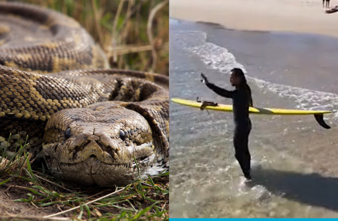 Fotos: Captura de video, Getty Images.