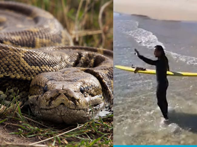 Fotos: Captura de video, Getty Images.